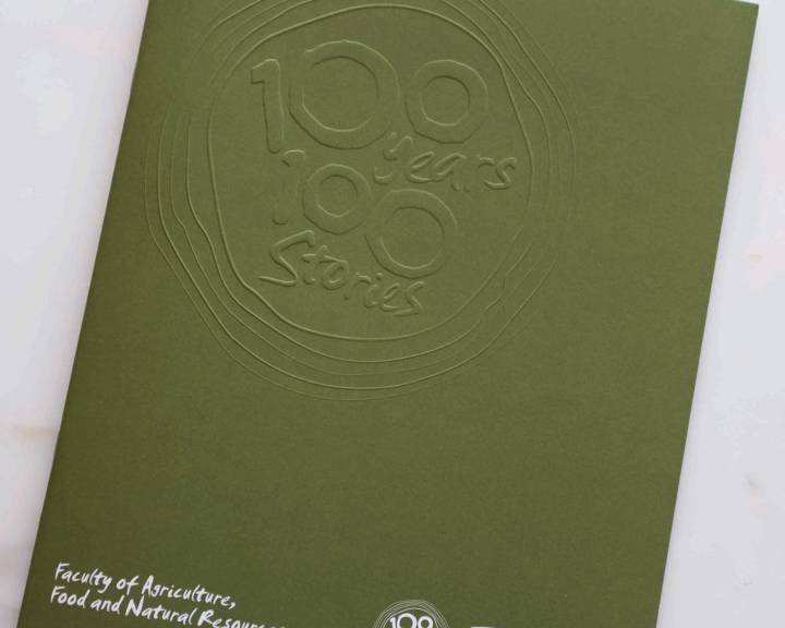 USYD Brand Identity