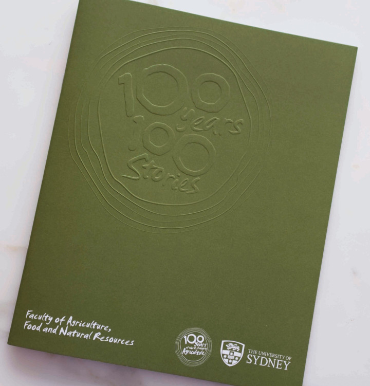 USYD Brand Identity
