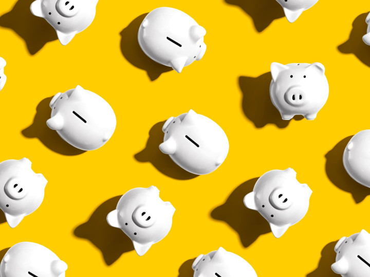 Pigs Icon Image